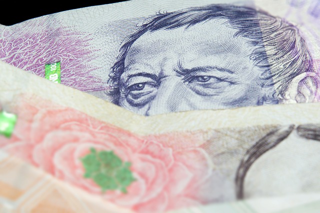 muž na bankovce.jpg